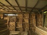 Mixed Light Hard Wood