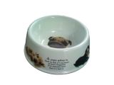 PA-002  Wolf Dog Bowl 10.5;quot;