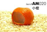 AM020  Orange House