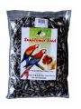 USA Sunflower Seed