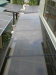 Skylight