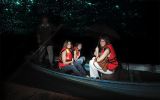 Kuala Selangor Nature Park and Fireflies Tour