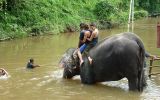 Lanchang Elephant Sanctuary