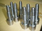 Injection Mould Core Insert