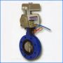Flange Type Pneumatic Cylinder Operated