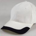 cp1100_white