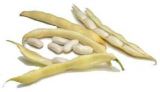 White kidney Bean Extract