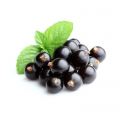blackcurrant