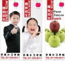 Apple ( Bunting )