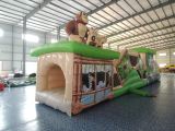 inflatable