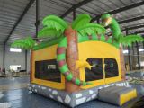 inflatable