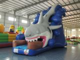 inflatable