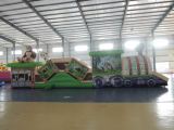 inflatable