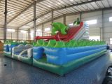 inflatable