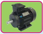 Teco Three Phase AC Induction Motor IP55 Protection, IEC Standard, Class H Insulation