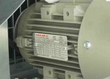 Branco Three Phase AC Induction Motor  Class F Insulation, IP55 Protection, IEC Standard