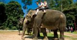 Elephant Santuary & Aborigine Village