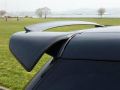 suzuki swift carbon spoi