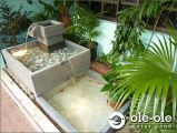 S.Edition.Water Ponds Design Malaysia.Kolam Ikan.Hiasan.Johor.Fengshui.Home Deco.ˮ.԰..Water Feature