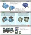 AEM Single Phase AC Induction Motor