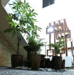 Feature Wall Design