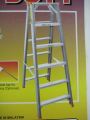 Double Side Ladder