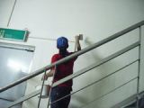 Wall Paint