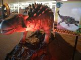 Dinosaur Park