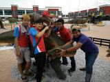 Dinosaur Park