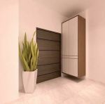 Shoe Cabinet Design