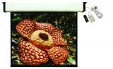 DELUXE ELECTRIC SCREEN