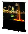 PORTABLE FLOOR SCREEN