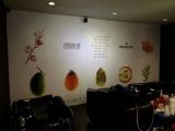 "Medavita" wall sticker
