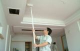 Ceiling Painting