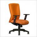 Lowback Arm Chair - A4