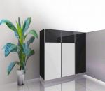 Shoe Cabinet