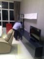 Initial Cleaning