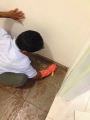 Initial Cleaning