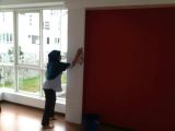 Move in Cleaning