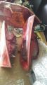 mitsubishi lancer ex tail lamp used