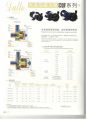 Datto Chemical Pump CQF Series