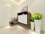 Shoe Cabinet