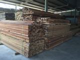 Kempas Tanalised Timber