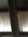 Roof Cleaning 