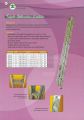 Triple Pole Extension Ladder