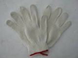 Cotton Glove B105