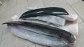 2017 honda civic spoiler