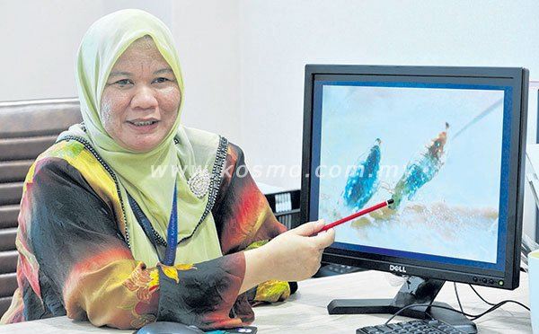 Kutu suka hidup di kepala bersih