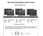 Stack-able Plastic Pallet