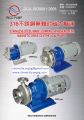 Rico Magnetic Pump